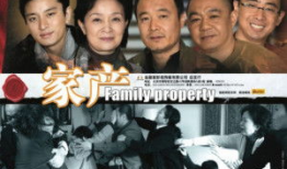 电视剧家产,家族荣耀与命运交织